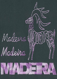 911   MADEIRA Classic No.40 1000m 2014
