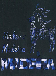 911   MADEIRA Classic No.40 1000m 2026