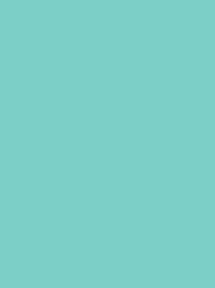 919   POLYNEON  NO.40    1000 m   1645