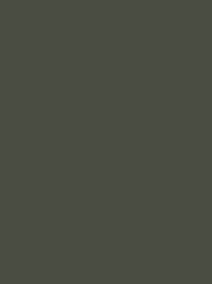 919   POLYNEON  NO.40    1000 m   1664