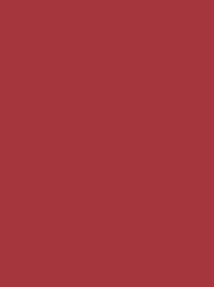 924   POLYNEON  NO.60    1500 m   1638