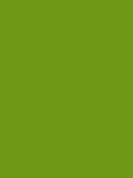 924   POLYNEON  NO.60    1500 m   1649