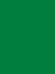 924   POLYNEON  NO.60    1500 m   1651