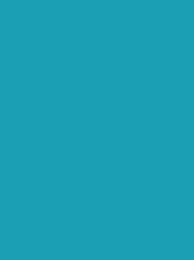 924   POLYNEON  NO.60    1500 m   1694