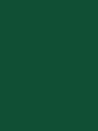 924   POLYNEON  NO.60    1500 m   1703