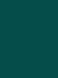 924   POLYNEON  NO.60    1500 m   1704