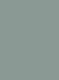 924   POLYNEON  NO.60    1500 m   1718