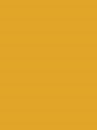 924   POLYNEON  NO.60    1500 m   1725