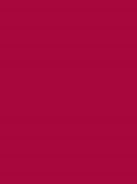 924   POLYNEON  NO.60    1500 m   1781