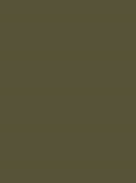 924   POLYNEON  NO.60    1500 m   1795
