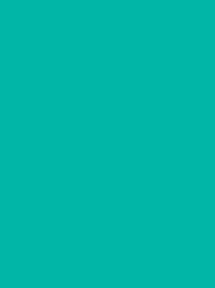 924   POLYNEON  NO.60    1500 m   1799