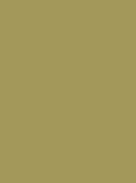 924   POLYNEON  NO.60    1500 m   1956