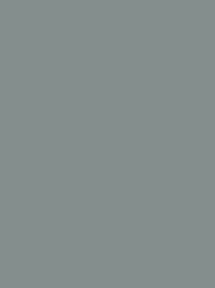 936   POLYNEON  NO.75    2500 m   1918