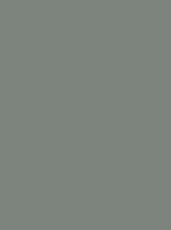 940 FROSTED MATT NO.40 2500 m     7432